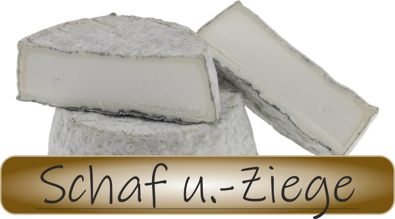 Selles sur Cher AOP Ziegenkäse shop Ziegenkäse online kaufen bei Käseversand24.de