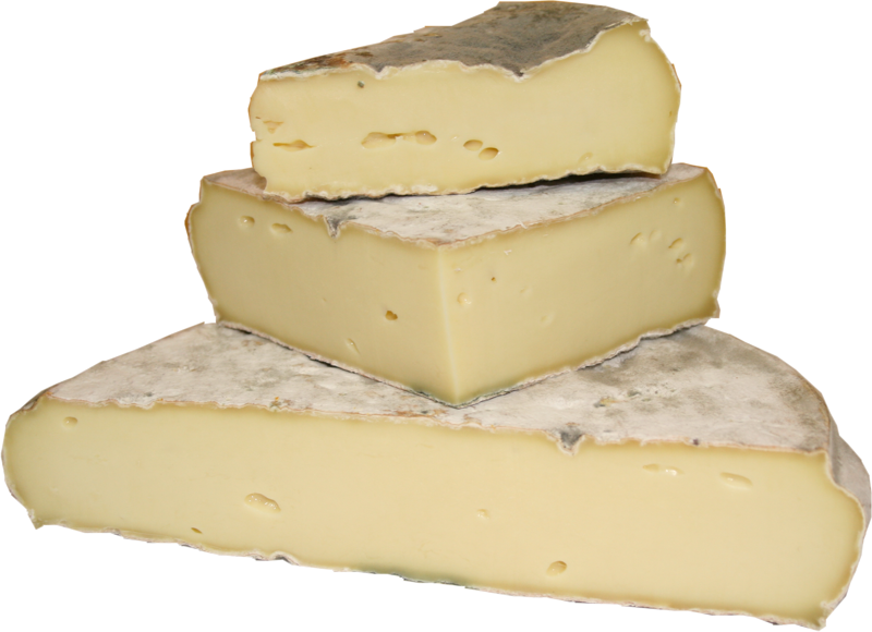 Käse St. Nectaire fermier AOP güstig online bestellen und kaufen Online Käse kaufen St. Nectaire fermier AOP jetzt bestellen
