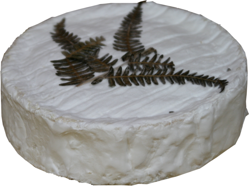 Online Käse kaufen Fougerus (Brie de Chevru) jetzt bestellen