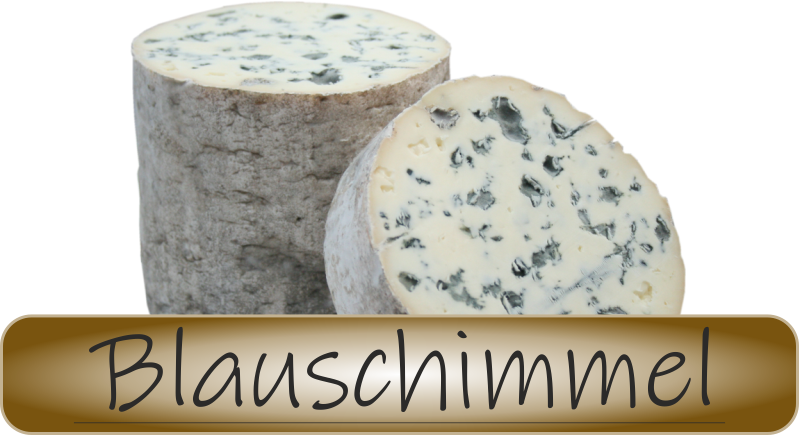 Intensive Aromen und edle Texturen: Unsere Blauschimmelkäse sind ein Highlight für Käseliebhaber. Blauschimmelkäse von Käseversand24 – edle Käsespezialitäten